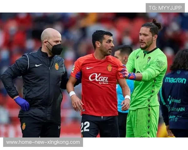 加拿大再次爆冷:欧预赛强势抢分 加拿大再次爆冷:欧预赛强势抢分