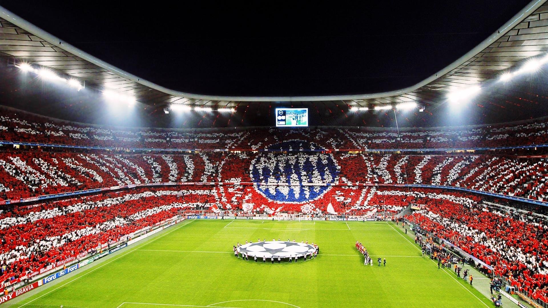 球队青训选材标准解析，青训队伍